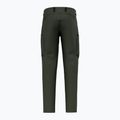 Pantaloni da trekking da uomo Salewa Puez Hemp Dst dark love 8