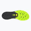 Scarpe da running DYNAFIT Alpine DNA 2 nimbus/black out 2