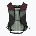 Zaino da trekking DYNAFIT Traverse 22 l salvia/bordeaux 2