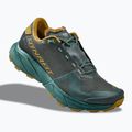 Scarpe da running uomo DYNAFIT Ultra 100 GTX lichen/atlantic 10
