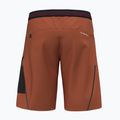 Pantaloncini da trekking da uomo Salewa Pedroc 3 DST Cargo bombay brown/0910 2