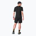 Camicia da corsa DYNAFIT Alpine 2 tabacco da uomo 3