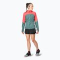 Giacca da corsa DYNAFIT Alpine Wind cabana atlantic donna 3