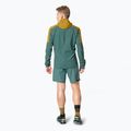 Giacca da corsa DYNAFIT Alpine Wind tobacco da uomo 4