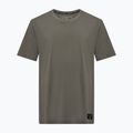 T-shirt Salewa Eagle Logo Patch Uomo 5A50 verde sbiadito