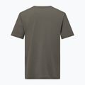 T-shirt Salewa Eagle Logo Patch Uomo 5A50 verde sbiadito 2