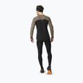 Maglia running a manica lunga da uomo DYNAFIT Alpine Pro fallen rock/0936 3