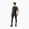 Maglia running uomo DYNAFIT Alpine Pro fallen rock/0936 2
