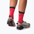 Calzini DYNAFIT Ultra Cushion fluo coral 3