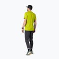 T-shirt uomo DYNAFIT Graphic CO golden lime/tabloid 3