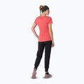 T-shirt donna DYNAFIT Graphic Co cabana/tabloid 3