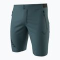 Pantaloncini da trekking da uomo DYNAFIT Transalper Light Dynastretch cinder/0910 4