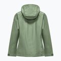 Giacca impermeabile da donna Salewa Puez Aqua 4 Ptx 2.5L pastel green 2