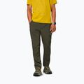 Pantaloni da trekking da uomo Salewa Pedroc 5 DST dark olive