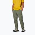 Pantaloni da trekking da uomo Salewa Pedroc 3 DST Light faded green