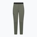 Pantaloni da trekking da uomo Salewa Pedroc 3 DST Light faded green 6