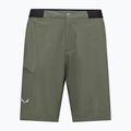 Pantaloncini da trekking da uomo Salewa Pedroc 4 DST Cargo faded green