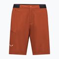 Pantaloncini da trekking da uomo Salewa Pedroc 4 DST Cargo bombay brown/0910