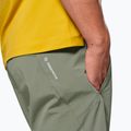 Pantaloncini da trekking da uomo Salewa Pedroc DST Light faded green 4