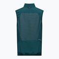 Gilet trekking da uomo Salewa Pedroc DST Light pond blue 2