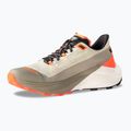 Scarpe da running da uomo DYNAFIT Ultra 100 V3 rock khaki/overcast 9