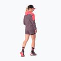 Giacca da running da donna DYNAFIT Alpine Wind cabana ephemera/6a90 2