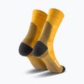 Calze da uomo Salewa Ortles AM Crew gold 2