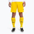 Leggings da calcio da uomo PUMA Team Liga Core cyber yellow/puma black 2