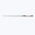 Canna da casting Daiwa Powermesh UL BC nero