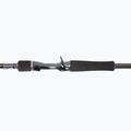Canna da spinning Daiwa Prorex XR BC nero/viola 3