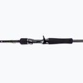 Canna da casting Daiwa Prorex XR Jerk BC nero/viola 2
