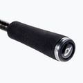 Canna da casting Daiwa Prorex XR Jerk BC nero/viola 4
