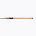 Canna Daiwa Aqualite Float nera 3