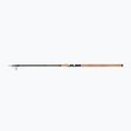 Daiwa Aqualite Tele Float canna nera