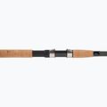 Daiwa Aqualite Tele Float canna nera 3