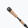 Canna Daiwa Caldia Light Spin 4