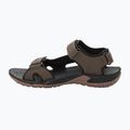 Sandali da trekking da uomo Jack Wolfskin Lakewood Cruise in legno scuro 12
