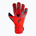 Guanto da portiere Reusch Attrakt Gold X Evolution Cut Finger Support rosso brillante/blu futuro/nero 4