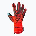 Guanti da portiere Reusch Attrakt Freegel Gold Finger Support rosso brillante/blu futuro/nero 4