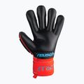 Guanti da portiere Reusch Attrakt Freegel Gold Finger Support rosso brillante/blu futuro/nero 5