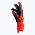 Guanti da portiere Reusch Attrakt Freegel Gold Finger Support rosso brillante/blu futuro/nero 6
