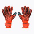 Guanti da portiere Reusch Attrakt Freegel Gold Finger Support rosso brillante/blu futuro/nero
