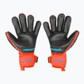 Guanti da portiere Reusch Attrakt Freegel Gold Finger Support rosso brillante/blu futuro/nero 2
