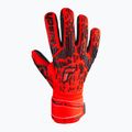 Reusch Attrakt Freegel Silver Finger Support Guanti da portiere rosso vivo/blu futuro/nero 4