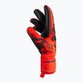 Reusch Attrakt Freegel Silver Finger Support Guanti da portiere rosso vivo/blu futuro/nero 6