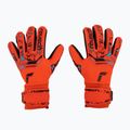 Guanti da portiere Reusch Attrakt Grip Evolution Finger Support rosso brillante/blu futuro/nero