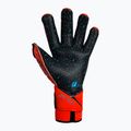Guanti da portiere Reusch Attrakt Fusion Guardian AdaptiveFlex rosso brillante/blu futuro/nero 5