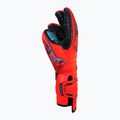 Guanti da portiere Reusch Attrakt Fusion Guardian AdaptiveFlex rosso brillante/blu futuro/nero 6
