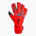 Guanti da portiere Reusch Attrakt Gold X Evolution Cut rosso brillante/blu futuro/nero 4