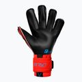 Guanti da portiere Reusch Attrakt Gold X Evolution Cut rosso brillante/blu futuro/nero 5